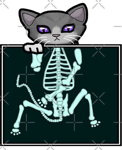 X Ray Cat By Fanform Redbubble