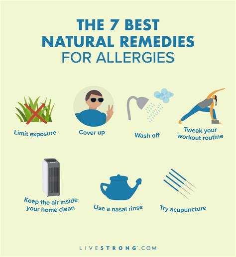 Top 83 Imagen Pollen Allergy Remedies Vn