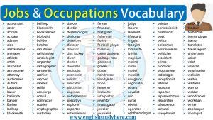 Jobs And Occupations Vocabulary English Study Here