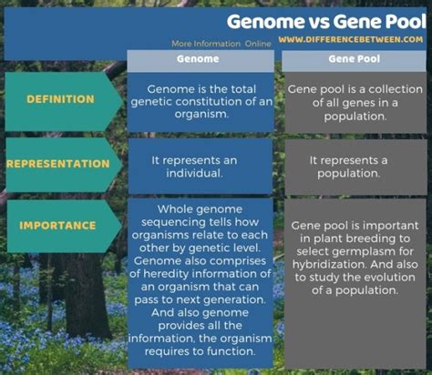Difference Between Genome And Gene Pool Compare The Difference