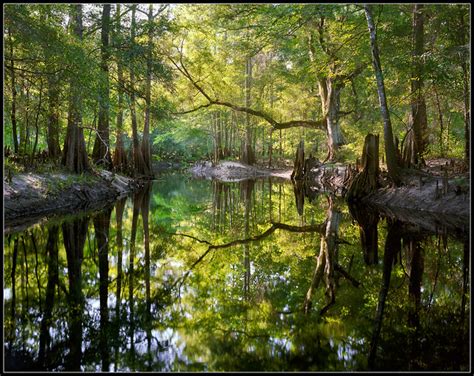 Green Swamp Florida Flickr Photo Sharing