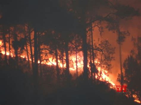 Rains May Have Scaled Down Uttarakhand Forest Fires Social News Xyz