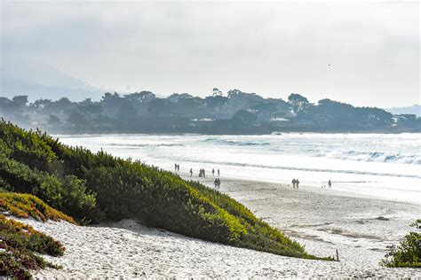 The Monterey Bay Area Travel Guide Expert Picks For Your Vacation