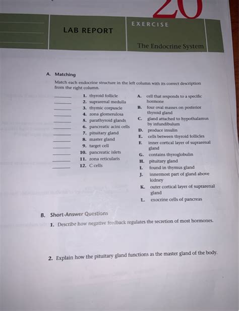 Solved Exercise Lab Report The Endocrine System A Matching