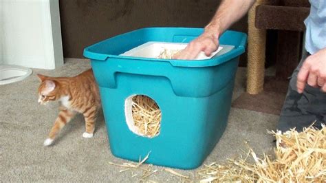 Feral Cat Shelter Diy Cooler How To Do Thing