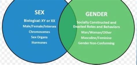 Pagkakaiba Ng Sex At Gender Venn Diagram