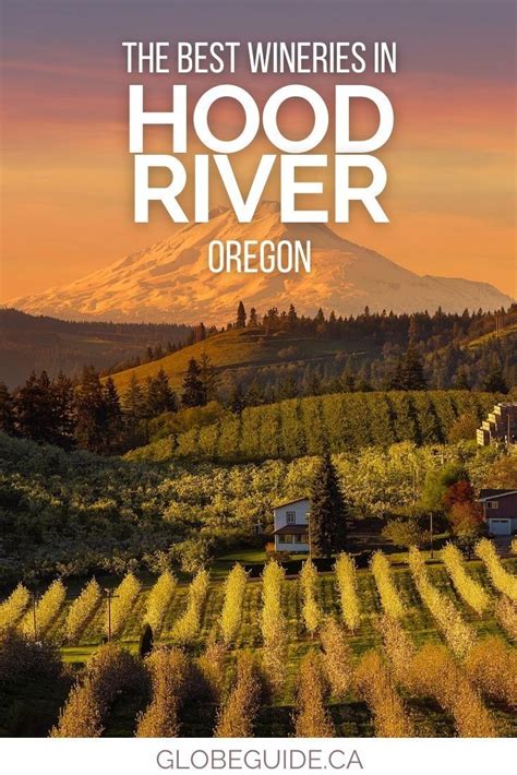 The Best Wines In Hood River Oregon
