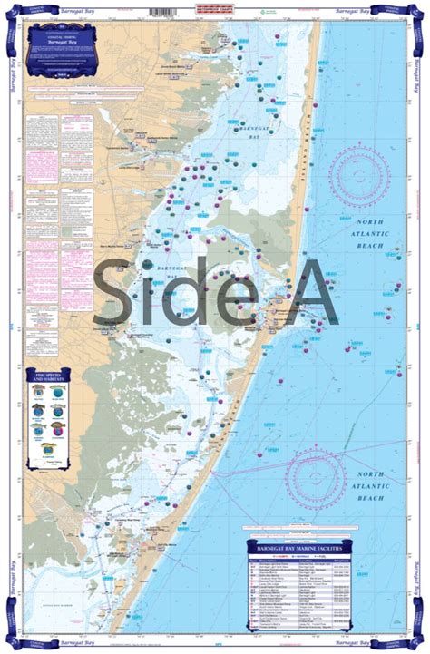 Charts And Maps Waterproof Charts 56f Barnegat Bay Coastal Fishing