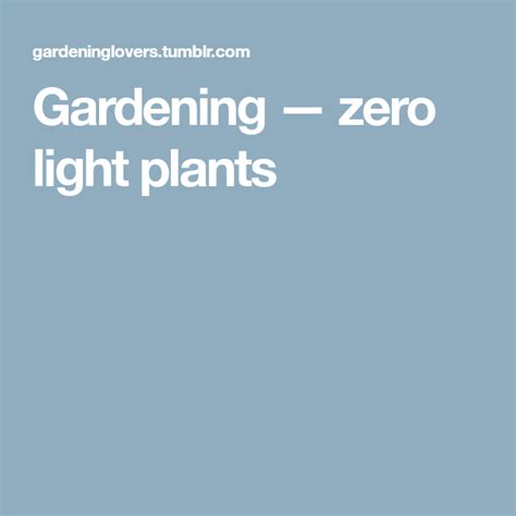 Gardening — Zero Light Plants Plants Light Gardening Tips