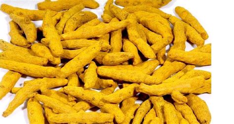 Organic Turmeric Finger For Food Packaging Size 25 And 50 Kg At Rs