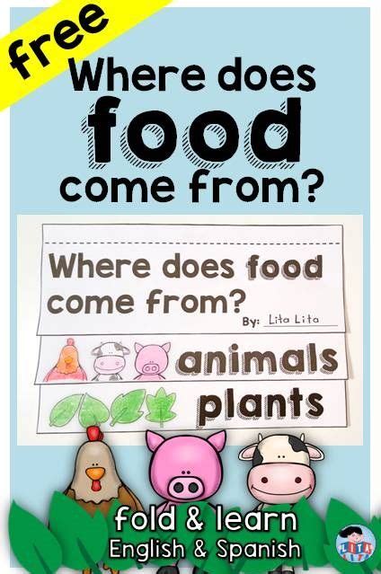 Freebie Where Does Food Come From Foldable Nutrition Activities