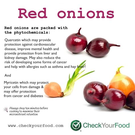 What Are The Health Benefits Of Red Onions Red Onion Benefits Onion