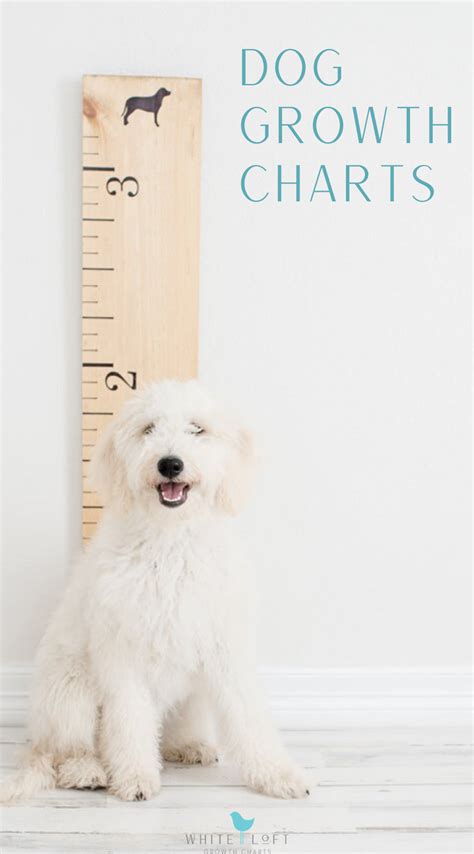 Wooden Growth Chart For Dogs Puppy Growth Chart Wooden Growth Chart