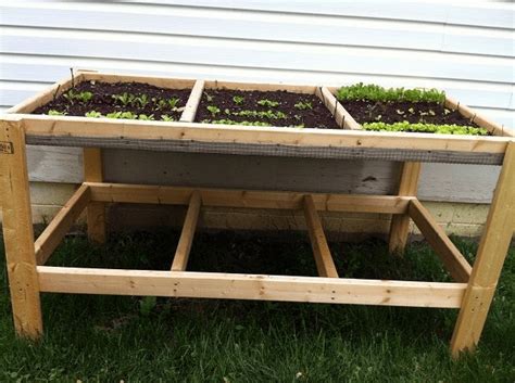 Build A Salad Table To Grow Your Greens Living On The Cheap