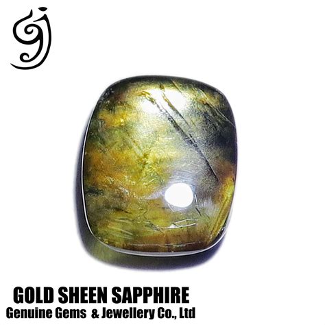 Extraordinary Colored Cts Natural Unheated Unique Gold Sheen Sapphire Gold Sheen Sapphire