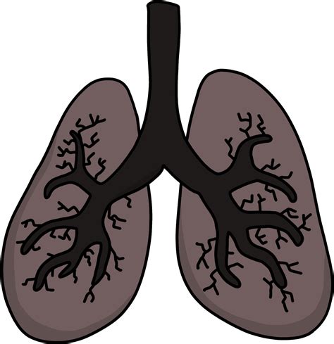 Black Lungs Illustration Clipart Full Size Clipart 5538208