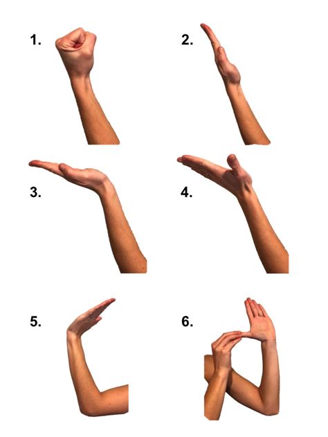 Carpal Tunnel Exercises Nerve Gliding Exercises Raleigh Hand
