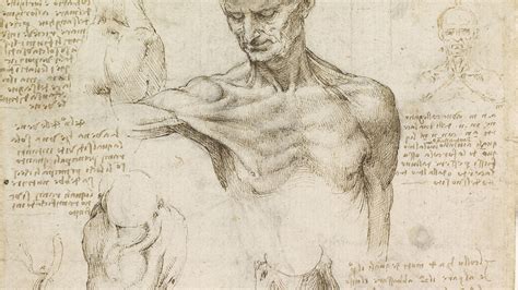 Leonardo Da Vinci Dissected Some 30 Cadavers In His Lifetime Leaving