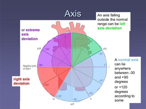 Determining Right Or Left Axis Deviation Basic Anatomy And Physiology