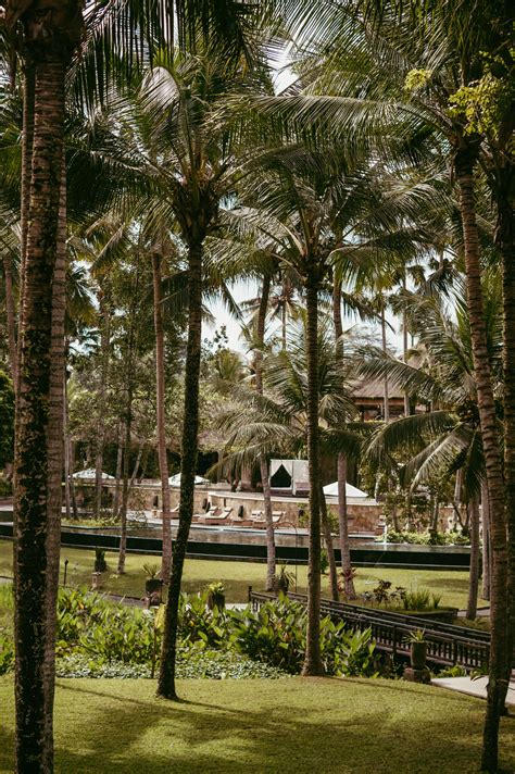 Hotel Review The Ubud Village Resort And Spa Ubud Bali Reiseblogger Bali Reisen Reiseblog