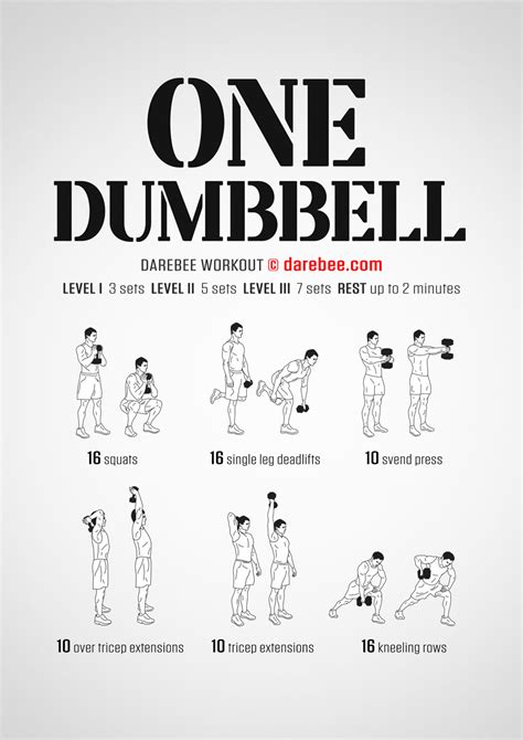 30 Minute Full Body Beginner Dumbbell Workout With 53 Off