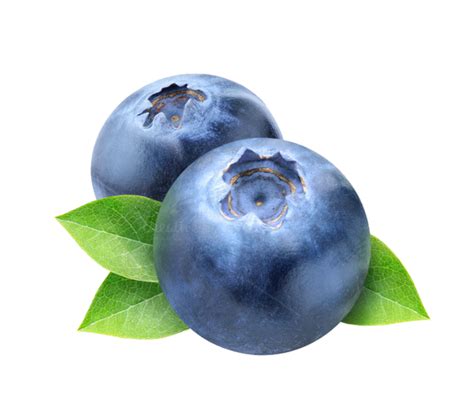 Download High Quality Blueberry Clipart Transparent Background