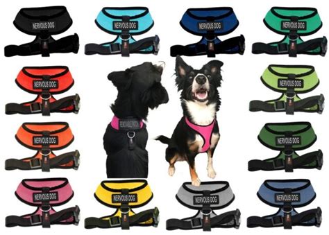 Nervous Dog Mesh Padded Soft Puppy Pet Dog Harness Breathable 12 Colors