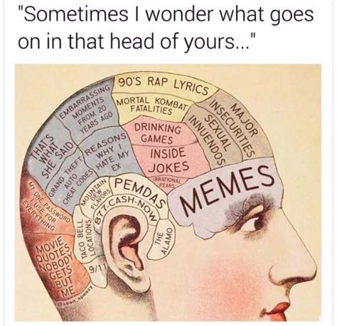 Sometimes I Wonder What Goes On In That Head Of Yours 750×728