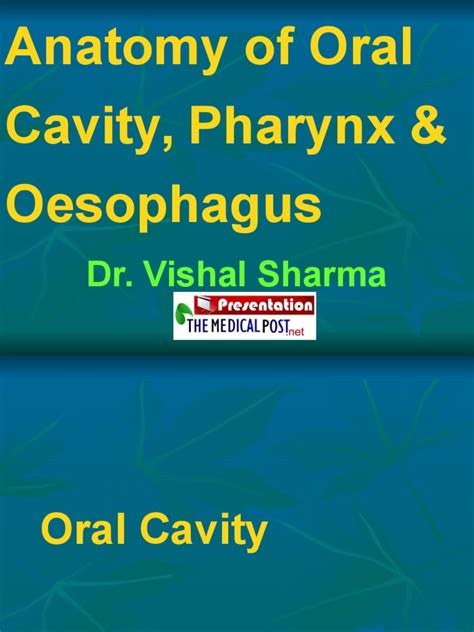 1 Anatomy Of Oral Cavity Pharynx Oesophagus Pdf Tongue Esophagus