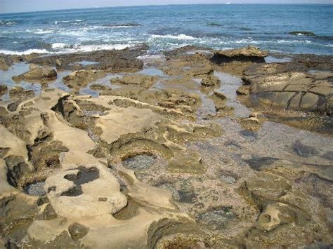 Welcome To The Tide Pools Of La Jolla In San Diego