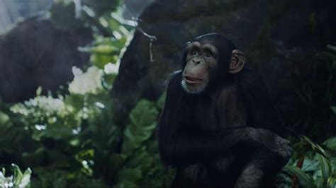I used coordinating brown embroidery thread. GEICO TV Commercial, 'Tarzan Fights Over Directions: It's ...
