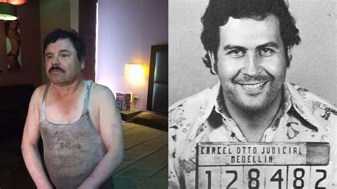 Chapo Guzman Y Pablo Escobar Se Conocieron Carlos Mccoy News