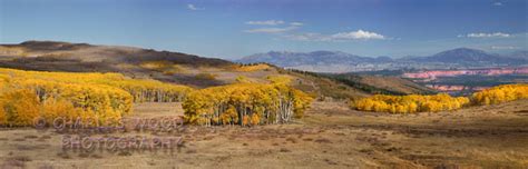 Charles Wood Photography Colors Of Autumn Boulder Mountain Utah