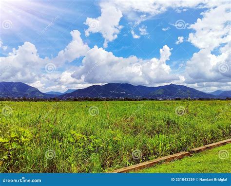 Northern Range Trinidad And Tobago Stock Image Image Of Hill Range