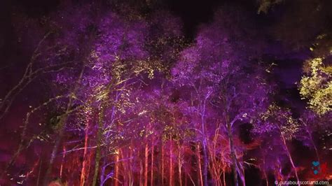 The Complete Guide To Visiting The Enchanted Forest In Central Scotland