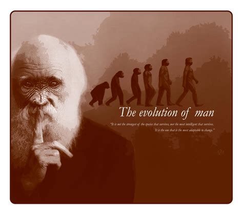 Darwins Evolution Of Man By Henstepbatbot On Deviantart