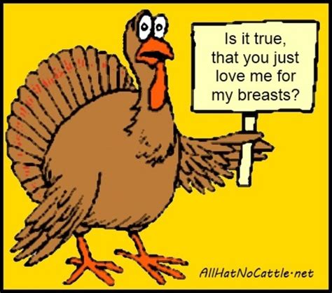 24 best thanksgiving cartoons and humor images on pinterest comic comic books and comics