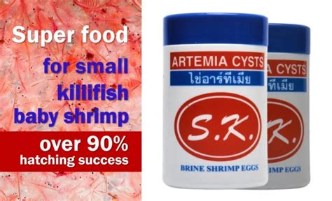 100g Artemia Cysts Brine Shrimp Egg Superfood Killifish Baby Shrimp