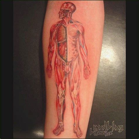 Image Result For Anatomical Tattoo Anatomical Tattoos Tattoos Tattoos For Guys