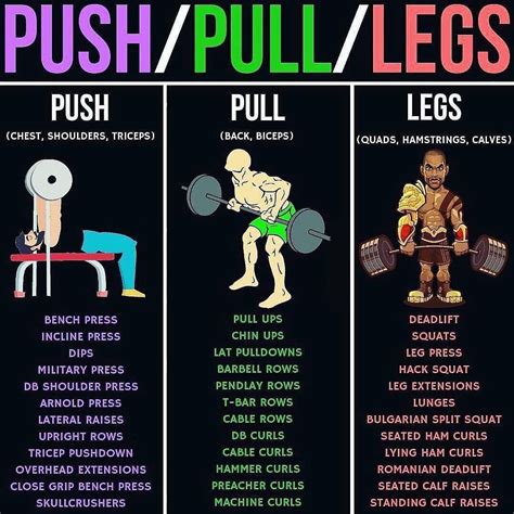 Push Pull Leg Workout Best Workout Routine Fun Workouts Weight