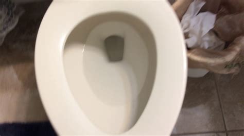 Will It Flush Toilet Paper Youtube