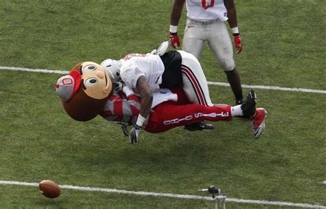 Watch Brutus The Buckeye Gets Pummeled During Ohio State Spring