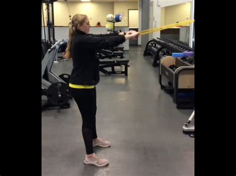 Trainer Tip Tuesday Banded Face Pulls Carle