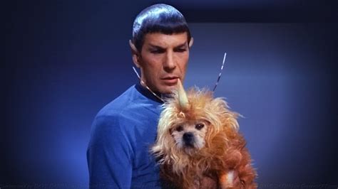 Star Trek Welcome To Your Pet Space