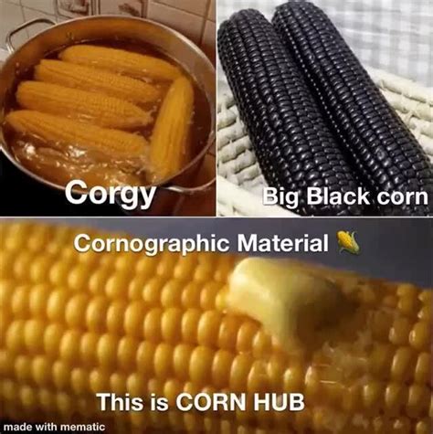 Corgy Big Black Corn Corn Material This Is Corn Hub Ifunny