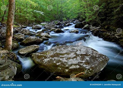 Middle Prong Of The Little River Great Smoky Mountains Stock Image