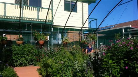 Bribie Island Butterfly House Youtube