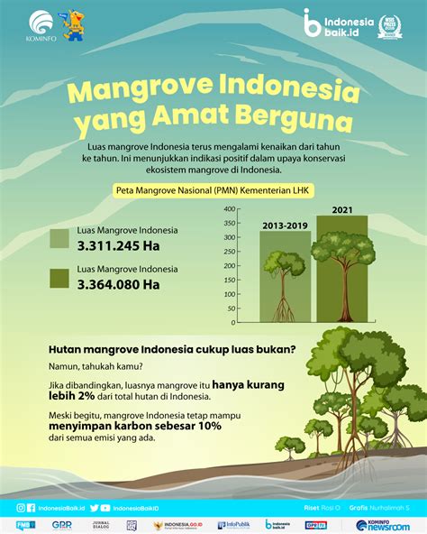 Mangrove Indonesia Yang Amat Berguna Indonesia Baik