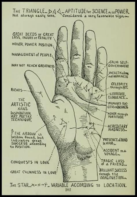 Palmistry Hand Reading Old Books On Cd Palmistry Cheiromancy And Cheironomy Vintage Book