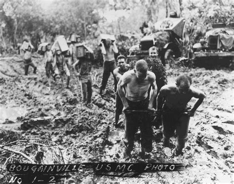 [photo] us marines bougainville solomon islands 1943 1944 world war ii database